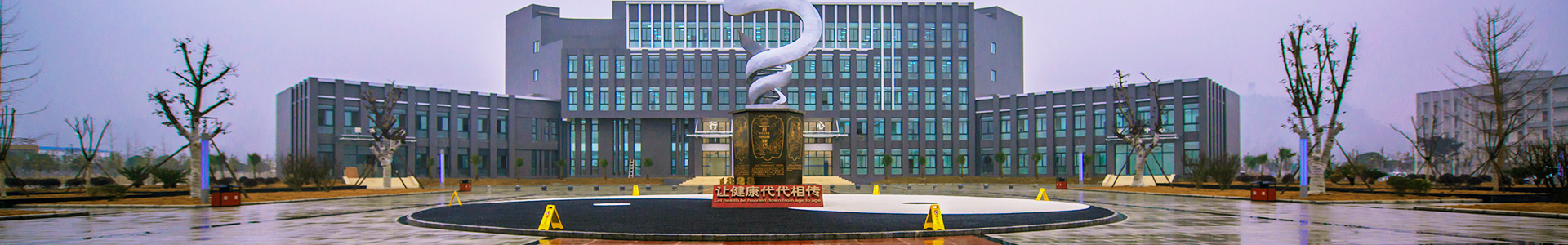 企業(yè)榮譽banner